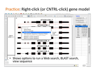 Prac1ce:	
  Right-­‐click	
  (or	
  CNTRL-­‐click)	
  gene	
  model	
  	
  
•  Shows	
  op1ons	
  to	
  run	
  a	
  Web	
  search,	
  BLAST	
  search,	
  
view	
  sequence	
  
60	
  
 