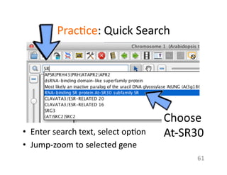 Prac1ce:	
  Quick	
  Search	
  
•  Enter	
  search	
  text,	
  select	
  op1on	
  
•  Jump-­‐zoom	
  to	
  selected	
  gene	
  
61	
  
Choose	
  
At-­‐SR30	
  
 