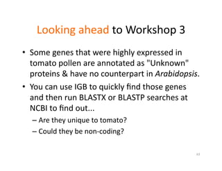 Looking	
  ahead	
  to	
  Workshop	
  3	
  
•  Some	
  genes	
  that	
  were	
  highly	
  expressed	
  in	
  
tomato	
  pollen	
  are	
  annotated	
  as	
  "Unknown"	
  
proteins	
  &	
  have	
  no	
  counterpart	
  in	
  Arabidopsis.	
  
•  You	
  can	
  use	
  IGB	
  to	
  quickly	
  ﬁnd	
  those	
  genes	
  
and	
  then	
  run	
  BLASTX	
  or	
  BLASTP	
  searches	
  at	
  
NCBI	
  to	
  ﬁnd	
  out...	
  
– Are	
  they	
  unique	
  to	
  tomato?	
  
– Could	
  they	
  be	
  non-­‐coding?	
  	
  
63	
  
 