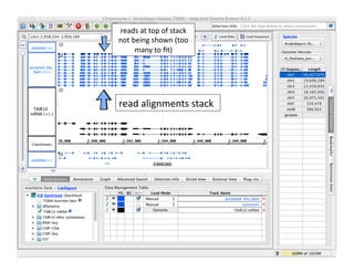 65	
  
read	
  alignments	
  stack	
  	
  
reads	
  at	
  top	
  of	
  stack	
  
not	
  being	
  shown	
  (too	
  
many	
  to	
  ﬁt)	
  
 