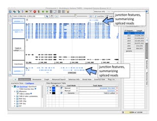66	
  
junc1on	
  features,	
  
summarizing	
  
spliced	
  reads	
  
junc1on	
  features,	
  
summarizing	
  
spliced	
  reads	
  
 