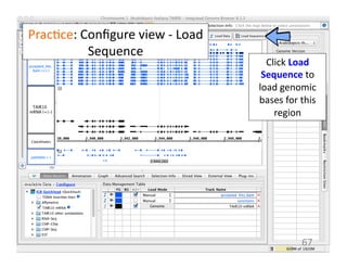 Prac1ce:	
  Conﬁgure	
  view	
  -­‐	
  Load	
  
Sequence	
  
67	
  
Click	
  Load	
  
Sequence	
  to	
  
load	
  genomic	
  
bases	
  for	
  this	
  
region	
  	
  
 