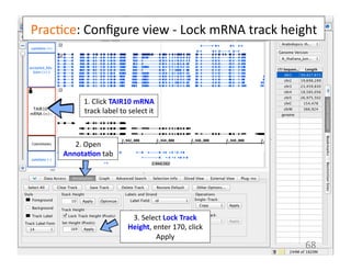 Prac1ce:	
  Conﬁgure	
  view	
  -­‐	
  Lock	
  mRNA	
  track	
  height	
  
68	
  
1.	
  Click	
  TAIR10	
  mRNA	
  
track	
  label	
  to	
  select	
  it	
  
2.	
  Open	
  
Annota$on	
  tab	
  
3.	
  Select	
  Lock	
  Track	
  
Height,	
  enter	
  170,	
  click	
  
Apply	
  
 
