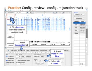 Prac1ce:	
  Conﬁgure	
  view	
  -­‐	
  conﬁgure	
  junc1on	
  track	
  
69	
  
1.	
  Click	
  junc$ons	
  
track	
  label	
  to	
  select	
  
junc1ons	
  track	
  
2.	
  Open	
  
Annota$on	
  tab	
  
3.	
  Select	
  
score	
  in	
  Label	
  
Field	
  	
  
4.	
  Select	
  +/-­‐	
  
in	
  Strand	
  
 
