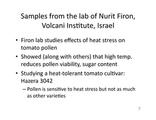 Samples	
  from	
  the	
  lab	
  of	
  Nurit	
  Firon,	
  
Volcani	
  Ins1tute,	
  Israel	
  
•  Firon	
  lab	
  studies	
  eﬀects	
  of	
  heat	
  stress	
  on	
  
tomato	
  pollen	
  
•  Showed	
  (along	
  with	
  others)	
  that	
  high	
  temp.	
  
reduces	
  pollen	
  viability,	
  sugar	
  content	
  	
  
•  Studying	
  a	
  heat-­‐tolerant	
  tomato	
  cul1var:	
  
Hazera	
  3042	
  
– Pollen	
  is	
  sensi1ve	
  to	
  heat	
  stress	
  but	
  not	
  as	
  much	
  
as	
  other	
  varie1es	
  
7	
  
 