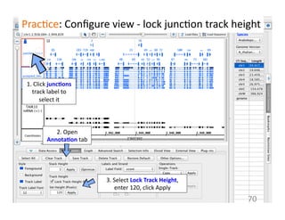 Prac1ce:	
  Conﬁgure	
  view	
  -­‐	
  lock	
  junc1on	
  track	
  height	
  
70	
  
1.	
  Click	
  junc$ons	
  
track	
  label	
  to	
  
select	
  it	
  
2.	
  Open	
  
Annota$on	
  tab	
  
3.	
  Select	
  Lock	
  Track	
  Height,	
  
enter	
  120,	
  click	
  Apply	
  
 