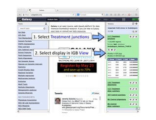 82	
  
1.	
  Select	
  Treatment	
  junc1ons	
  	
  	
  
2.	
  Select	
  display	
  in	
  IGB	
  View	
  	
  
 
