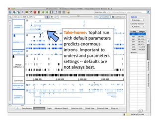 87	
  
Take-­‐home:	
  Tophat	
  run	
  
with	
  default	
  parameters	
  
predicts	
  enormous	
  
introns.	
  Important	
  to	
  
understand	
  parameters	
  
seongs	
  -­‐-­‐	
  defaults	
  are	
  
not	
  always	
  best.	
  
 