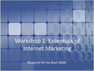 Workshop 1: Essentials of Internet Marketing Blueprint for the Bush (B4B) 
