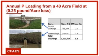 Annual P Loading from a 40 Acre Field at
(0.25 pound/Acre loss)
Source Water (ft3) DRP Load (lbs)
Surface
Discharge 405,977 2.1
Tile Discharge 1,251,487 7.8
Total
Discharge 1,657,464 9.9
 