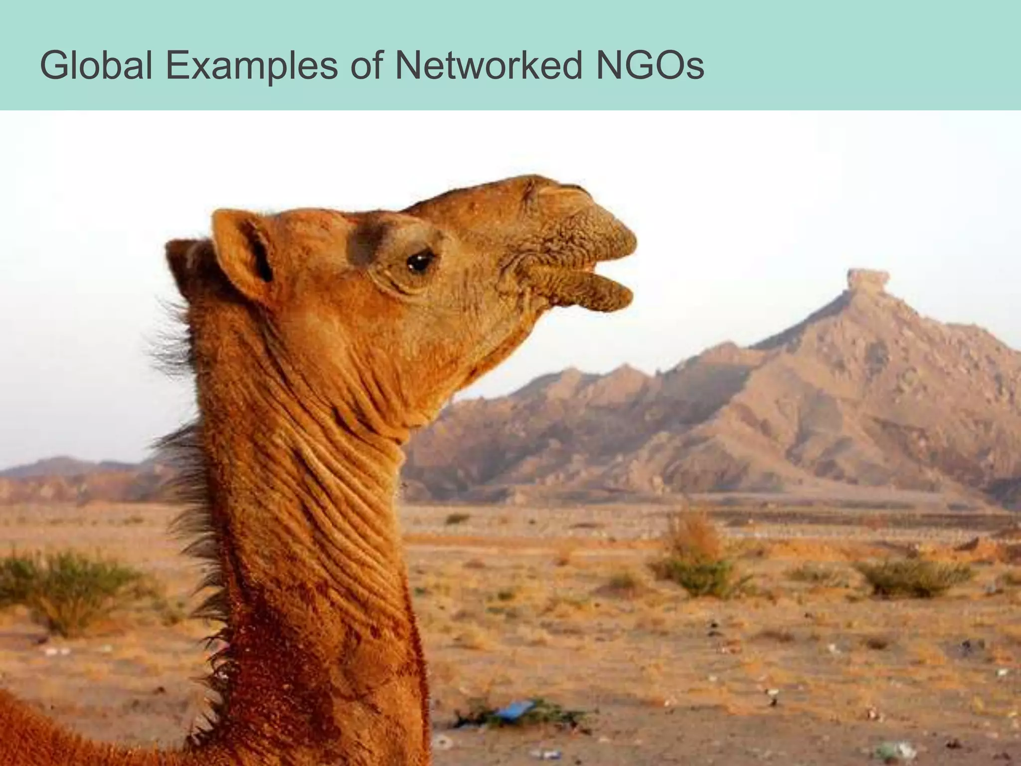 Being a Networked Nonprofit meansnot just having an internet connection or a Facebook profile.