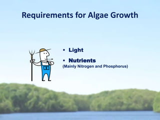Parameters Monitored
• Algae/Chlorophyll
• Water Clarity
• Nitrogen & Phosphorus
• Suspended Sediment
 