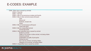 E-CODES: EXAMPLE
E906 Other injury caused by animals
E906.0 Dog bite
E906.1 Rat bite
E906.2 Bite of nonvenomous snakes and lizards
E906.3 Bite of other animal except arthropod
Cats
Moray eel
Rodents, except rats
Shark
E906.4 Bite of nonvenomous arthropod
Insect bite NOS
E906.5 Bite by unspecified animal
Animal bite NOS
E906.8 Other specified injury caused by animal
Butted by animal
Fallen on by horse or other animal, not being ridden
Gored by animal
Implantation of quills of porcupine
Pecked by bird
Run over by animal, not being ridden
Stepped on by animal, not being ridden
E906.9 Unspecified injury caused by animal
 
