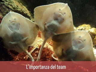L’importanza del team

 