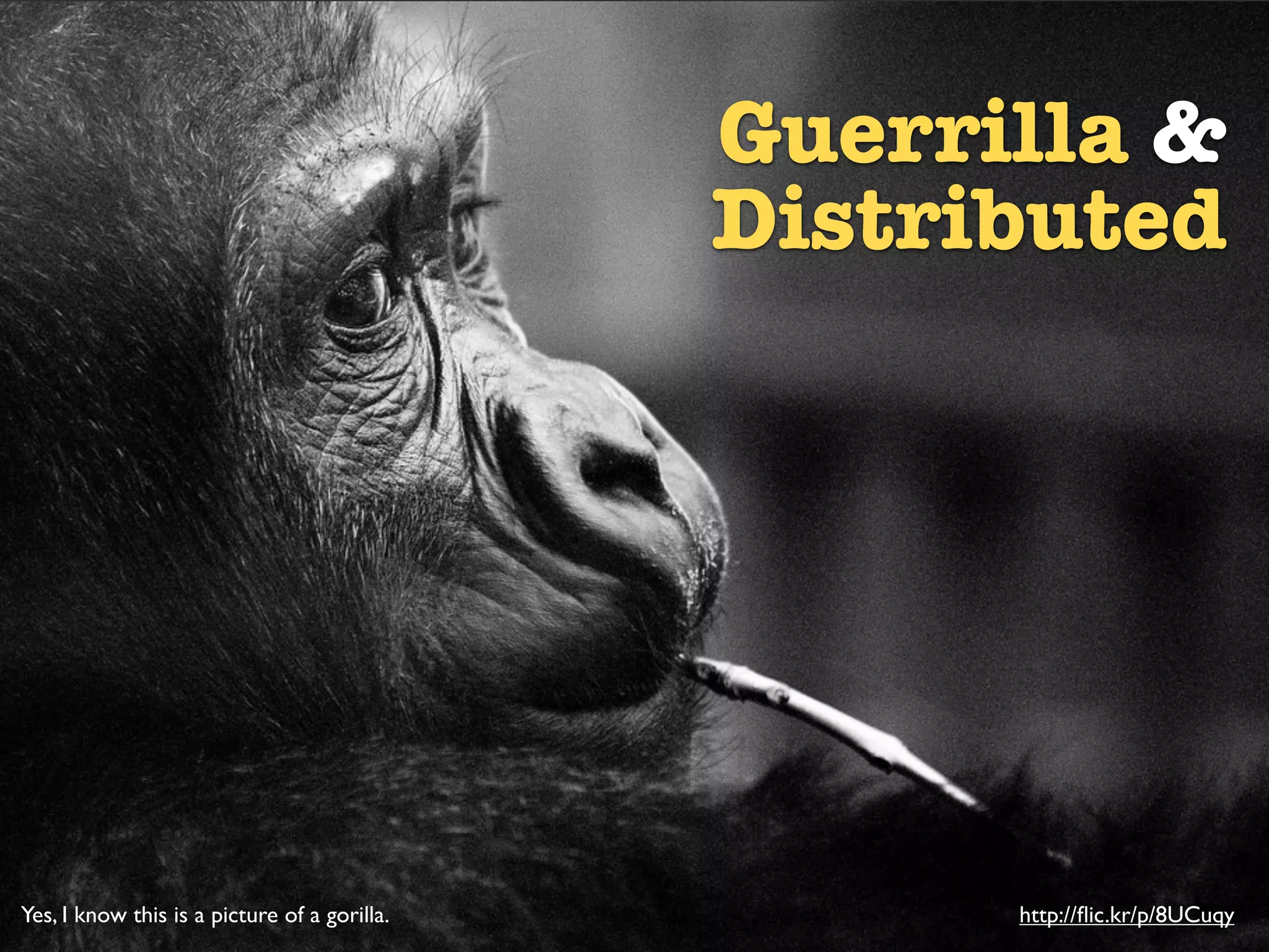 Guerrilla &
                                                             Distributed

                                              Guerrilla & Distributed




Yes, I know this is a picture of a gorilla.                             http://ﬂic.kr/p/8UCuqy
 