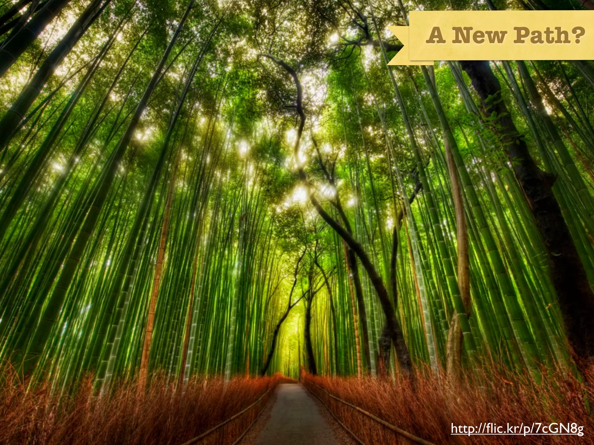 A New Path?




image of a path for showing RESS as a way forward




                                       http://ﬂic.kr/p/7cGN8g
 