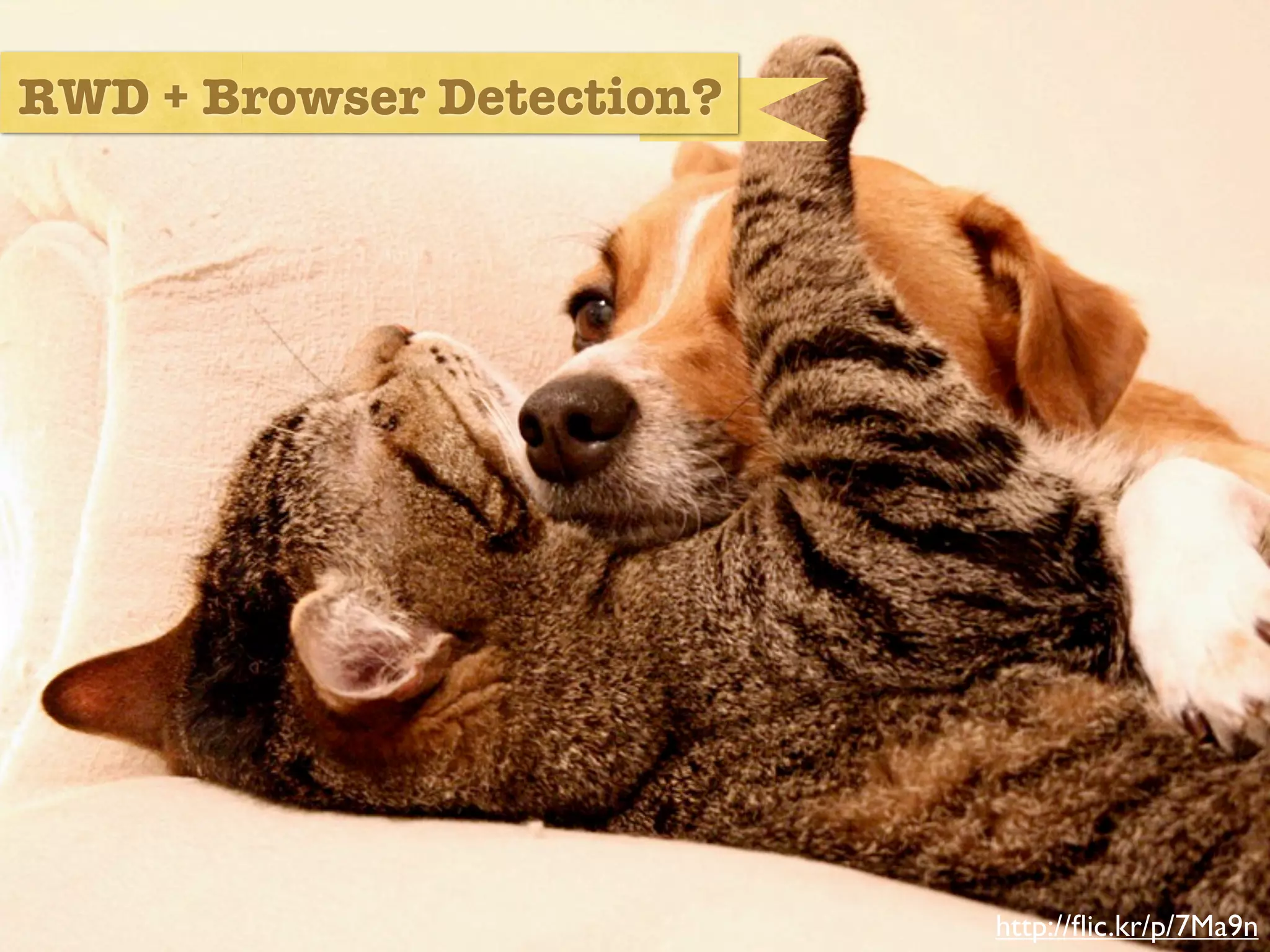 RWD + Browser Detection?




           developers and designers




                                      http://ﬂic.kr/p/7Ma9n
 