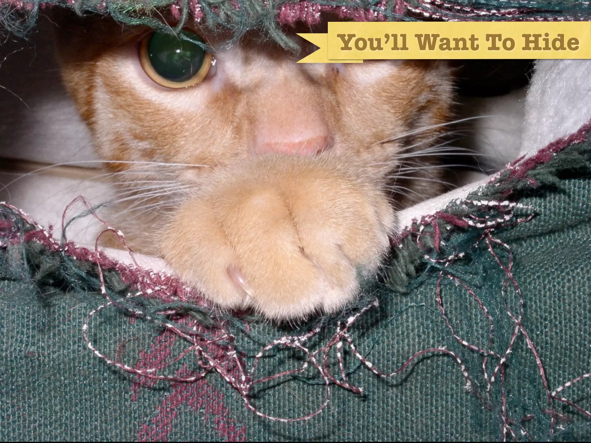 You’ll Want To Hide
 