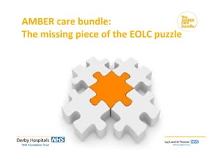AMBER care bundle: 
The missing piece of the EOLC puzzle
 
