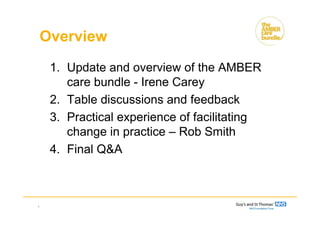 Overview
1. Update and overview of the AMBER
care bundle - Irene Carey
2. Table discussions and feedback
3. Practical experience of facilitating
change in practice – Rob Smith
4. Final Q&A
3
 