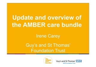 Update and overview of
the AMBER care bundle
Irene Carey
Guy’s and St Thomas’
Foundation Trust
 