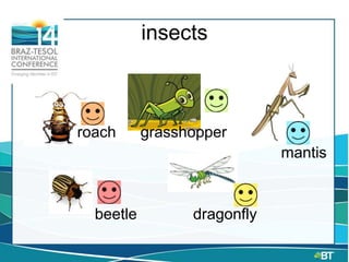 insects
roach grasshopper
mantis
beetle dragonfly
 