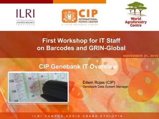 I L R I C A M P U S , A D D I S A B A B A E T H I O P I A
NOVEMBER 21, 2016
First Workshop for IT Staff
on Barcodes and GRIN-Global
Edwin Rojas (CIP)
Genebank Data System Manager
CIP Genebank IT Overview
 