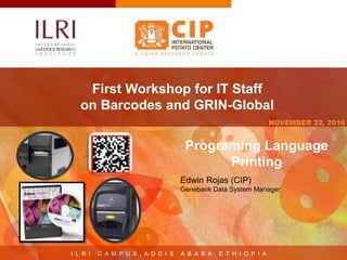 I L R I C A M P U S , A D D I S A B A B A E T H I O P I A
NOVEMBER 22, 2016
First Workshop for IT Staff
on Barcodes and GRIN-Global
Edwin Rojas (CIP)
Genebank Data System Manager
Programing Language
Printing
 