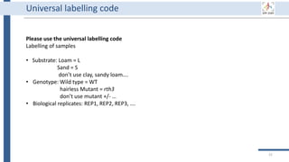 Universal labelling code
Please use the universal labelling code
Labelling of samples
• Substrate: Loam = L
Sand = S
don’t use clay, sandy loam….
• Genotype: Wild type = WT
hairless Mutant = rth3
don’t use mutant +/- …
• Biological replicates: REP1, REP2, REP3, ….
22
 