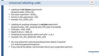 Universal labelling code
• Labelling of soil column experiments
[projectnumber_SCE#_C#];
• Soil colum expriment = SCE01,…
• Column in the experiment = C01
• example: P21_SCE01_C01
• Labelling of sampling campaigns in soil plot experiment
[projectnumber_SPE_sampling date_FP#_type of sample#];
• Field plot = FP01, FP02..
• Depth 0-20 cm = D00_20
• Sampling of several points within each plot = a, b, c
• example: P21_SPE_20181105_FP01_UC#
• You may extend the name by providing further details if required
(i.e. bulk/rhizosphere/rhizoplane)…
• If you extend the details, communicate that to your cooperation partners
23
 