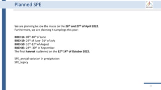 Planned SPE
We are planning to sow the maize on the 26th and 27th of April 2022.
Furthermore, we are planning 4 samplings this year:
BBCH14: 08th-10th of June
BBCH19: 29th of June- 01st of July
BBCH59: 10th-12th of August
BBCH83: 28th -30th of September
The final harvest is planned on the 12th-14th of October 2022.
SPE_annual variation in precipitation
SPE_legacy
24
 