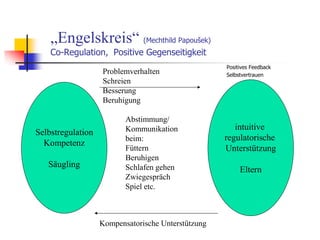 „Engelskreis“ (Mechthild Papoušek)
Co-Regulation, Positive Gegenseitigkeit
Positives Feedback
Selbstvertrauen
intuitive
regulatorische
Unterstützung
Eltern
Selbstregulation
Kompetenz
Säugling
Abstimmung/
Kommunikation
beim:
Füttern
Beruhigen
Schlafen gehen
Zwiegespräch
Spiel etc.
Problemverhalten
Schreien
Besserung
Beruhigung
Kompensatorische Unterstützung
 