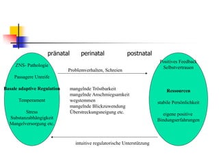 pränatal perinatal postnatal
ZNS- Pathologie
Passagere Unreife
Basale adaptive Regulation
Temperament
Stress
Substanzabhängigkeit
Mangelversorgung etc.
Positives Feedback
Selbstvertrauen
Ressourcen
stabile Persönlichkeit
eigene positive
Bindungserfahrungen
Problemverhalten, Schreien
mangelnde Tröstbarkeit
mangelnde Anschmiegsamkeit
wegstemmen
mangelnde Blickzuwendung
Überstreckungsneigung etc.
intuitive regulatorische Unterstützung
 