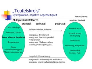 „Teufelskreis“
Dysregulation, negative Gegenseitigkeit
Verunsicherung
Multiple Risikofaktoren negatives Feedback
pränatal perinatal postnatal
ZNS- Pathologie
Passagere Unreife
Basale adaptive Regulation
Temperament
Stress
Substanzabhängigkeit
Mangelversorgung etc.
Persönlichkeit
Verunsicherung
Erschöpfung
Depression
Ablehnung „Gespenster“
Partnerschaft
Soziales Netz
Problemverhalten, Schreien
mangelnde Tröstbarkeit
mangelnde Anschmiegsamkeit
wegstemmen
mangelnde Blickzuwendung
Nahrungsverweigerung etc.
mangelnde Unterstützung
mangelnde Abstimmung auf Bedürfnisse
gehemmte intuitive elterliche Kompetenzen
 
