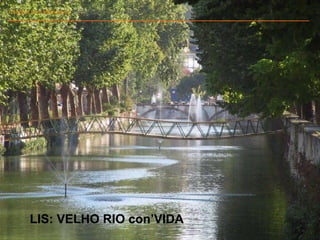 Insights from interviews  |  IntergenerationAll workshop #2 LIS: VELHO RIO con’VIDA 