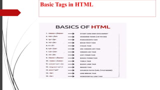 Basic Tags in HTML
 