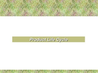 Product Life CycleProduct Life Cycle
 
