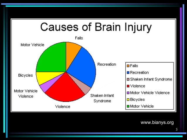 Workshop 30 Safety Planning Tbi Handout | PDF