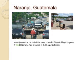 Naranjo, Guatemala




Naranjo was the capital of the most powerful Classic Maya kingdom
of Saal. Naranjo has a humid (> 0.65 p/pet) climate.
      El
 