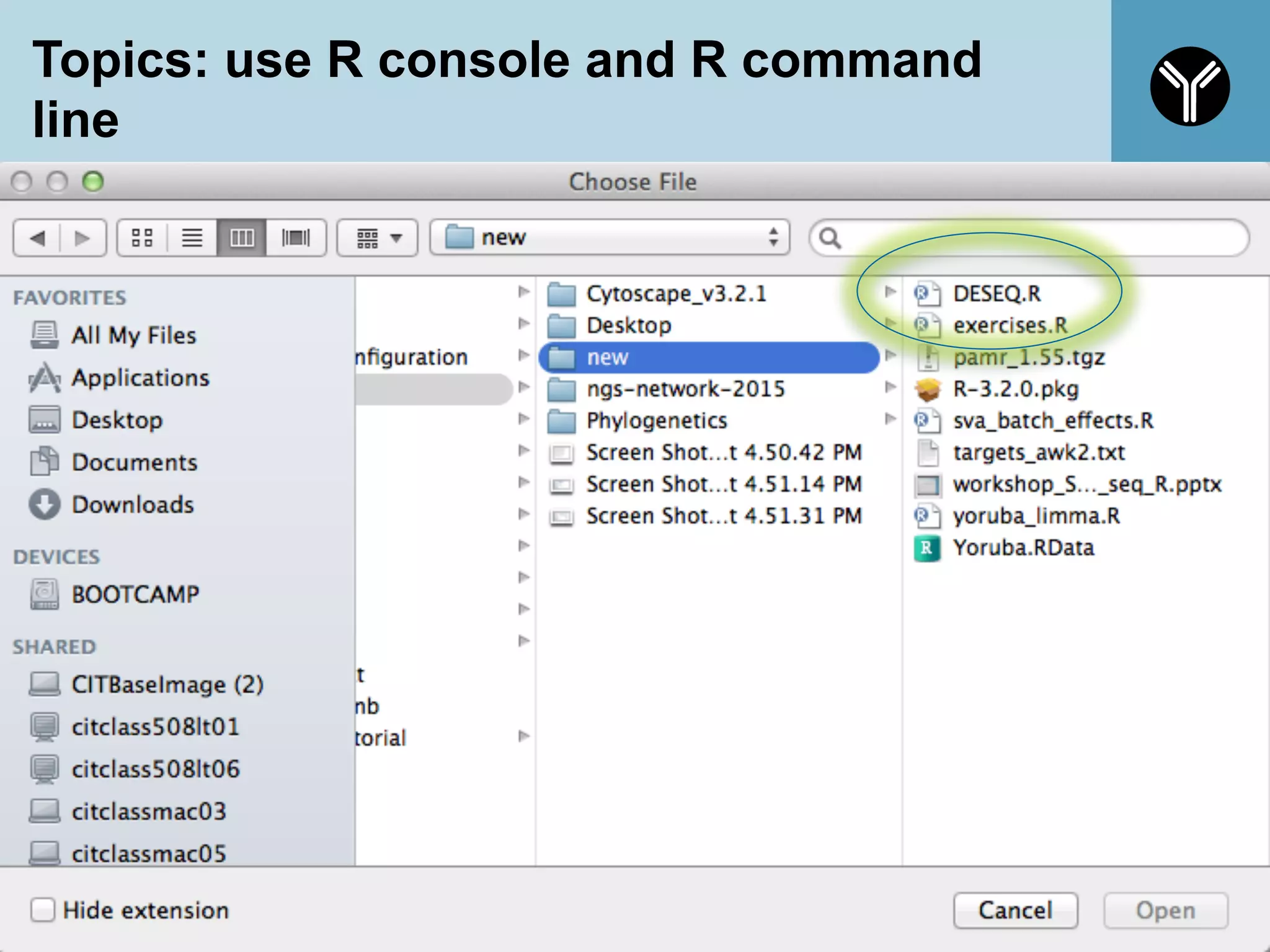 Topics: use R console and R command
line
30
 