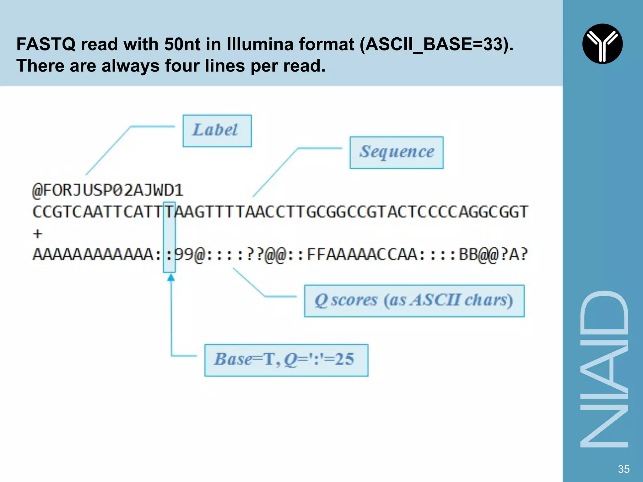 FASTQ read with 50nt in Illumina format (ASCII_BASE=33).
There are always four lines per read.
35
 