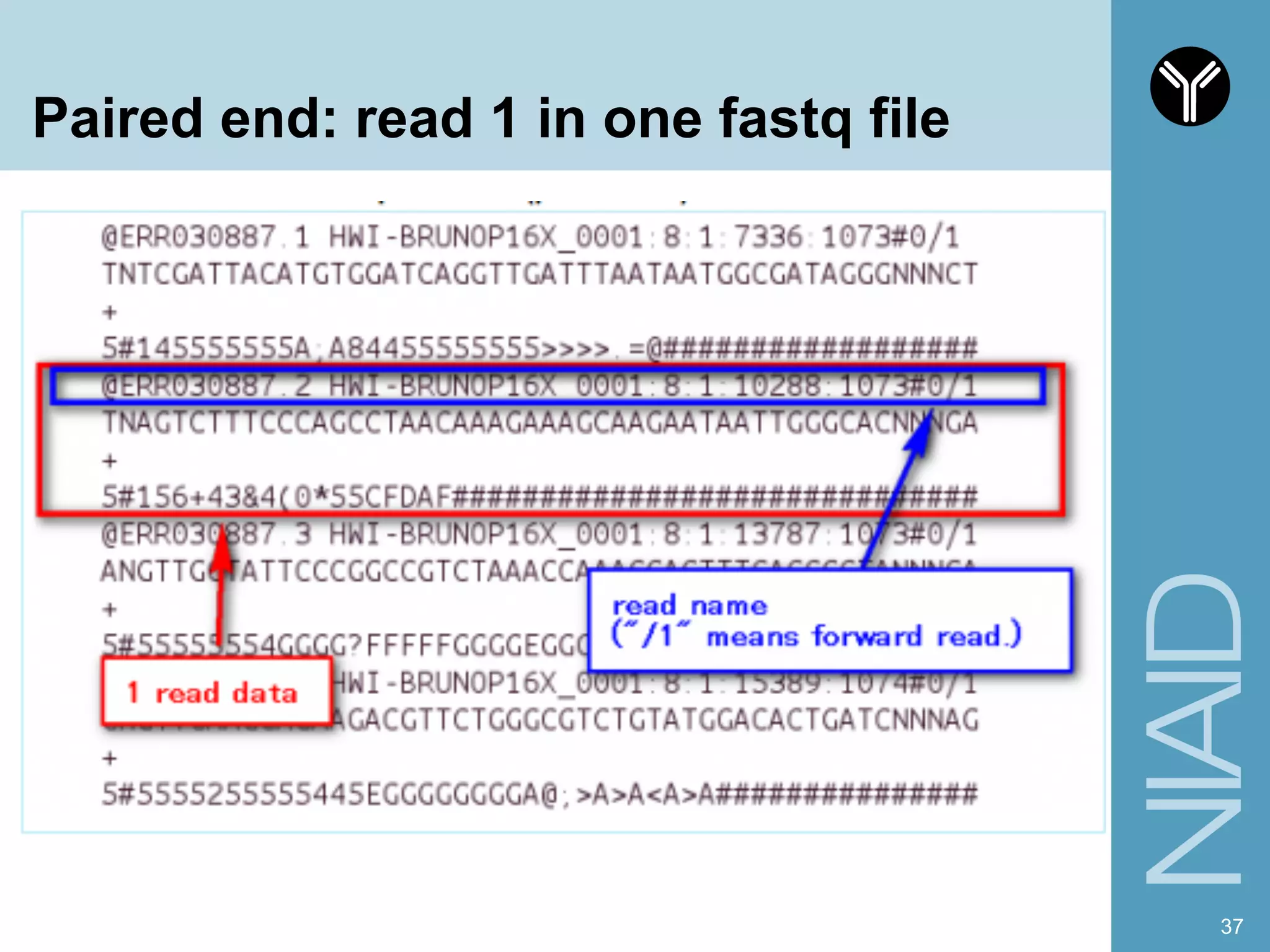 Paired end: read 1 in one fastq file
37
 