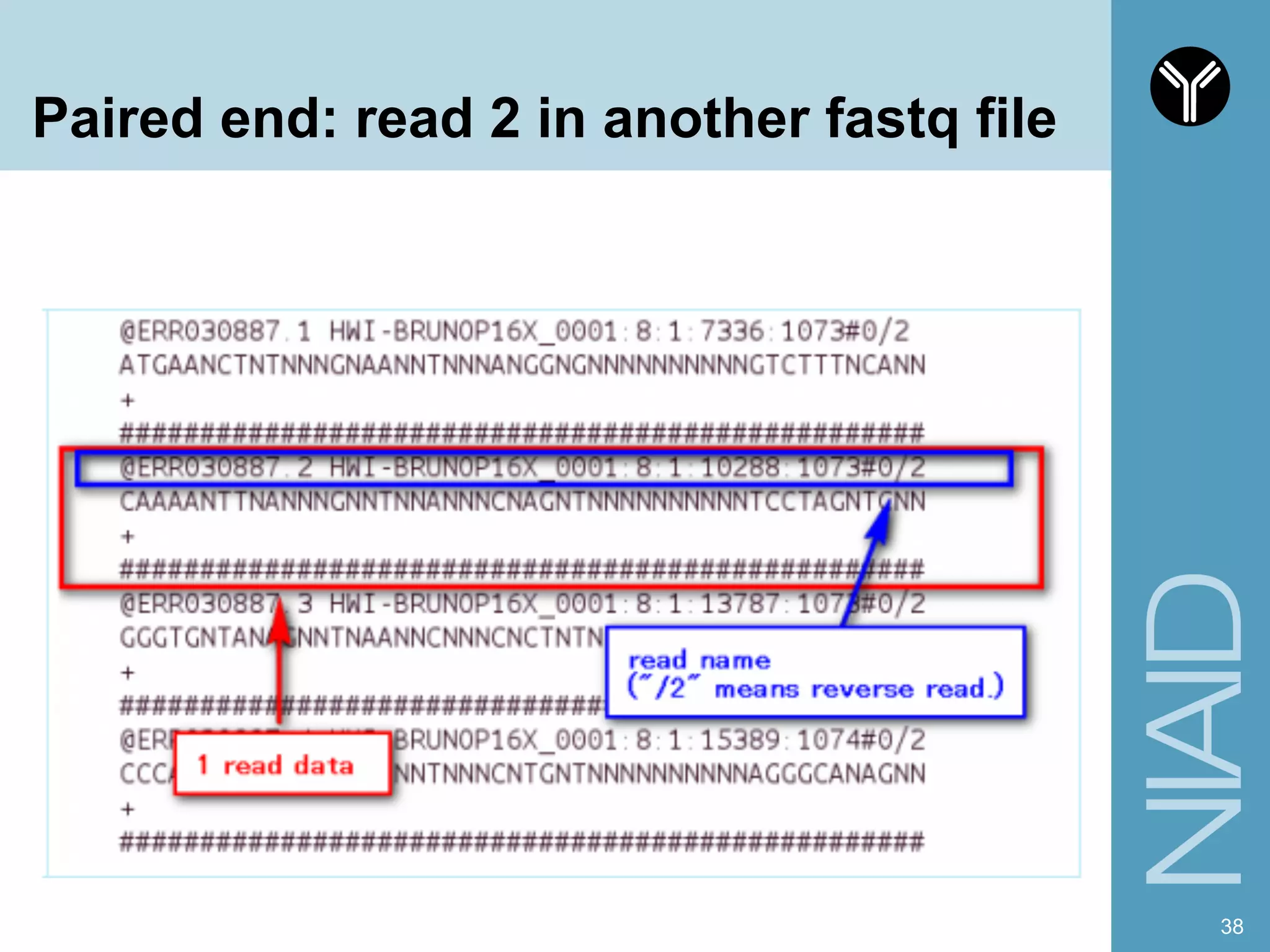 Paired end: read 2 in another fastq file
38
 