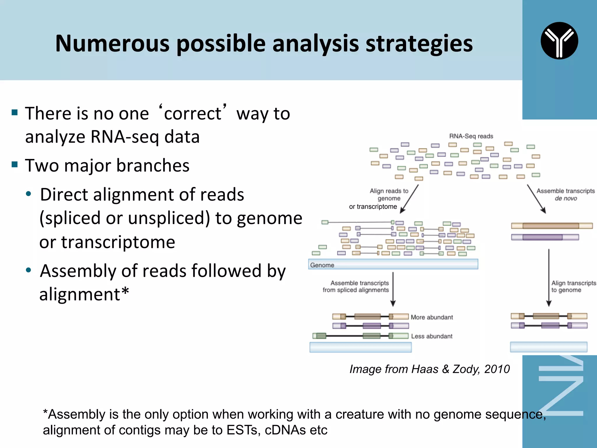 Numerous	
  possible	
  analysis	
  strategies	
  
§  There	
  is	
  no	
  one	
  ‘correct’	
  way	
  to	
  
analyze	
  RNA-­‐seq	
  data	
  	
  
§  Two	
  major	
  branches	
  
•  Direct	
  alignment	
  of	
  reads	
  
(spliced	
  or	
  unspliced)	
  to	
  genome	
  
or	
  transcriptome	
  
•  Assembly	
  of	
  reads	
  followed	
  by	
  
alignment*	
  
*Assembly is the only option when working with a creature with no genome sequence,
alignment of contigs may be to ESTs, cDNAs etc
or transcriptome
Image from Haas & Zody, 2010
 