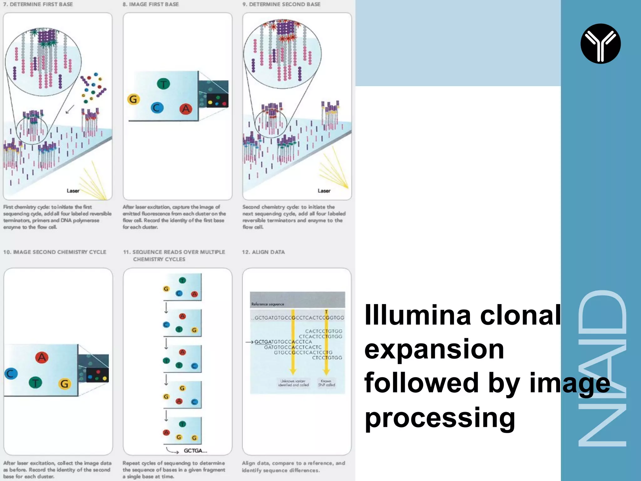 Illumina clonal
expansion
followed by image
processing
 