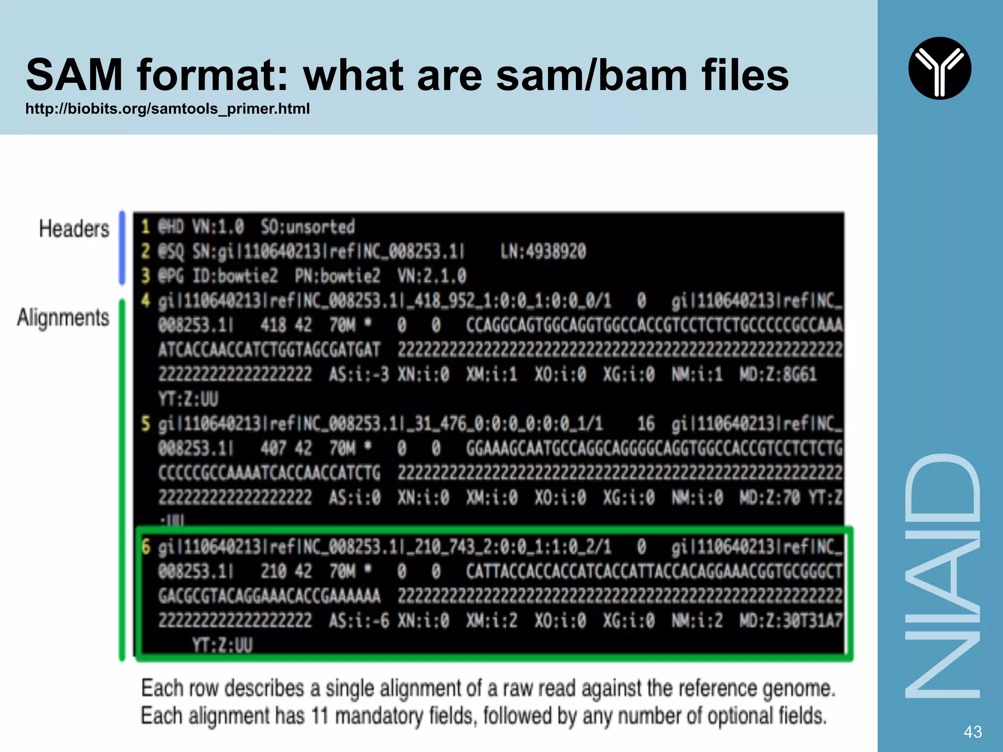 SAM format: what are sam/bam files
http://biobits.org/samtools_primer.html
43
 