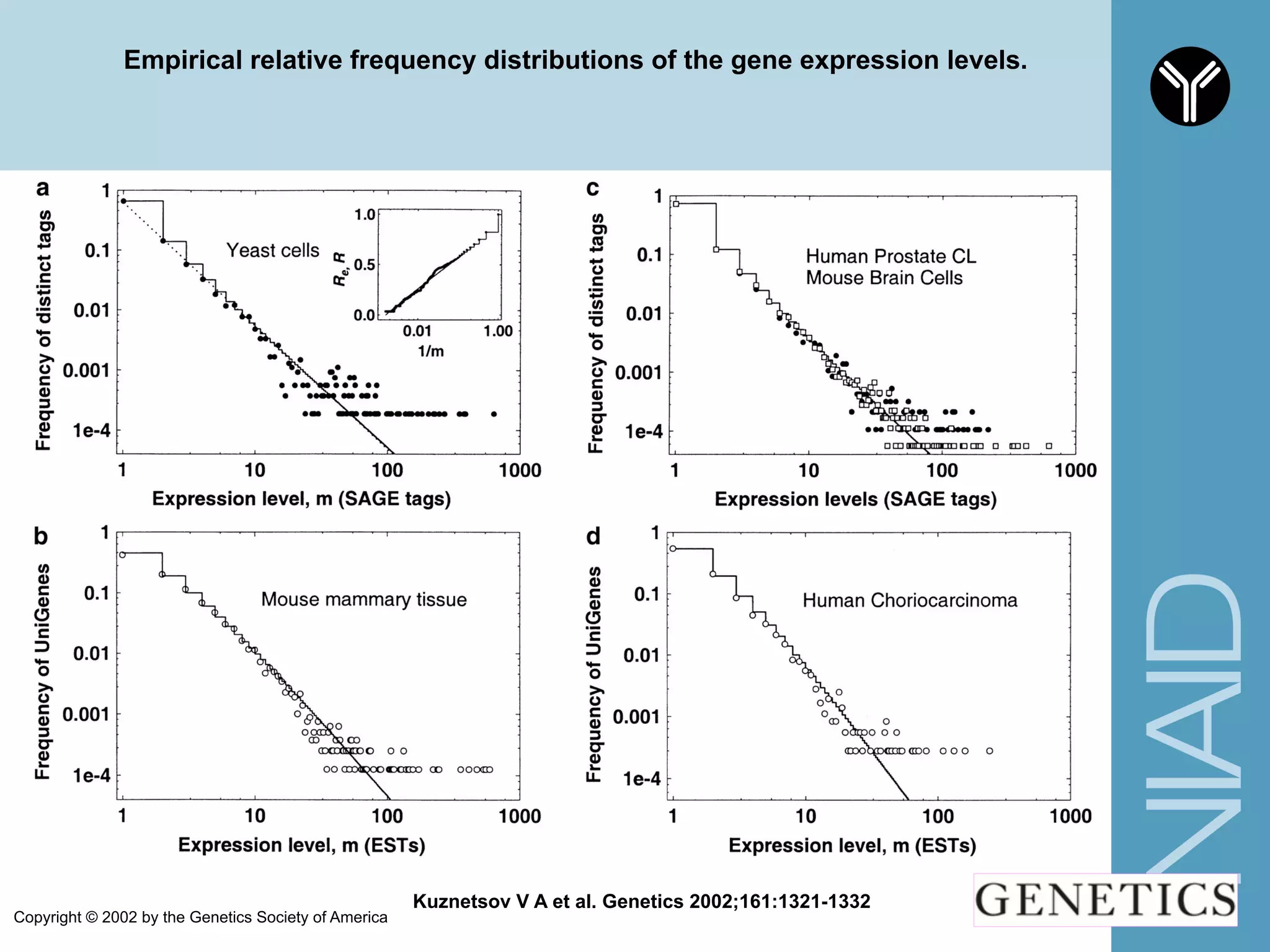Empirical relative frequency distributions of the gene expression levels.
Kuznetsov V A et al. Genetics 2002;161:1321-1332
Copyright © 2002 by the Genetics Society of America
 