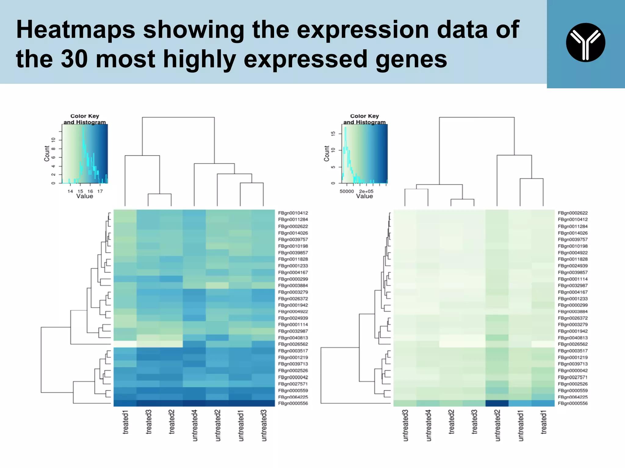 Heatmaps showing the expression data of
the 30 most highly expressed genes
64
 