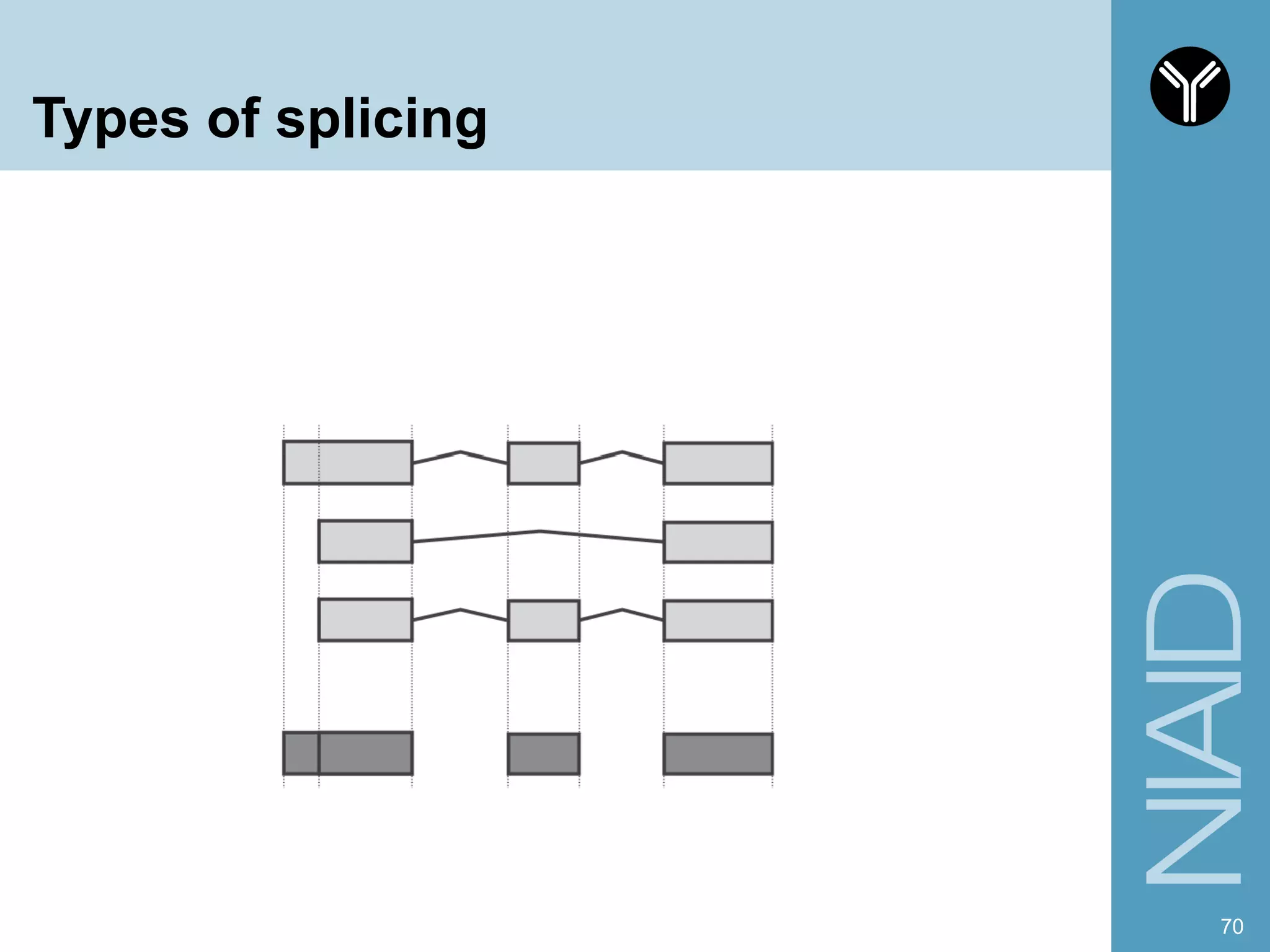 Types of splicing
70
 