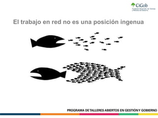 El trabajo en red no es una posición ingenua
 